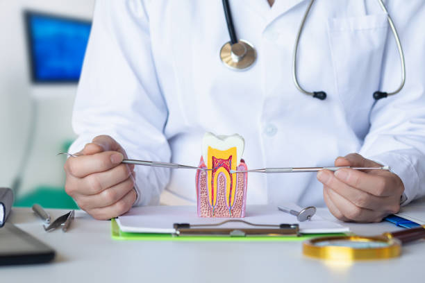 Best Emergency Dental Care for Broken or Chipped Teeth in Marcus Hook, PA